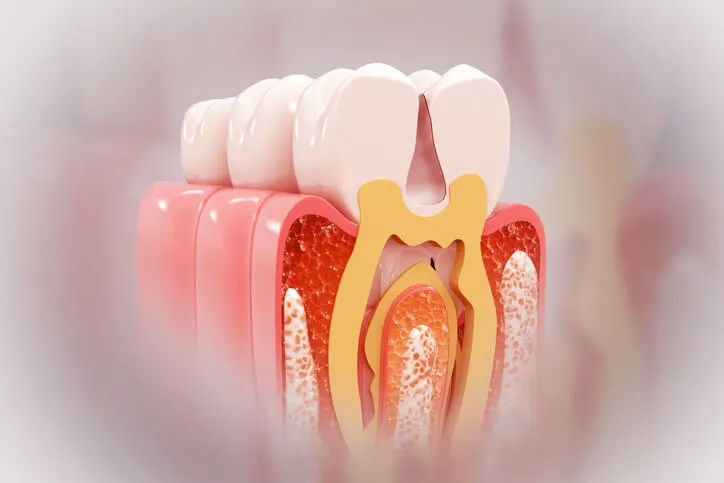The Strategic Biology Behind Strong Systems: Why Blood, Bone, and Dental Health Rise or Fall&nbsp;Together